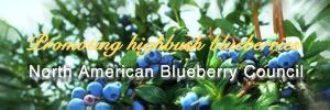 Welcome to the North American Blueberry Council